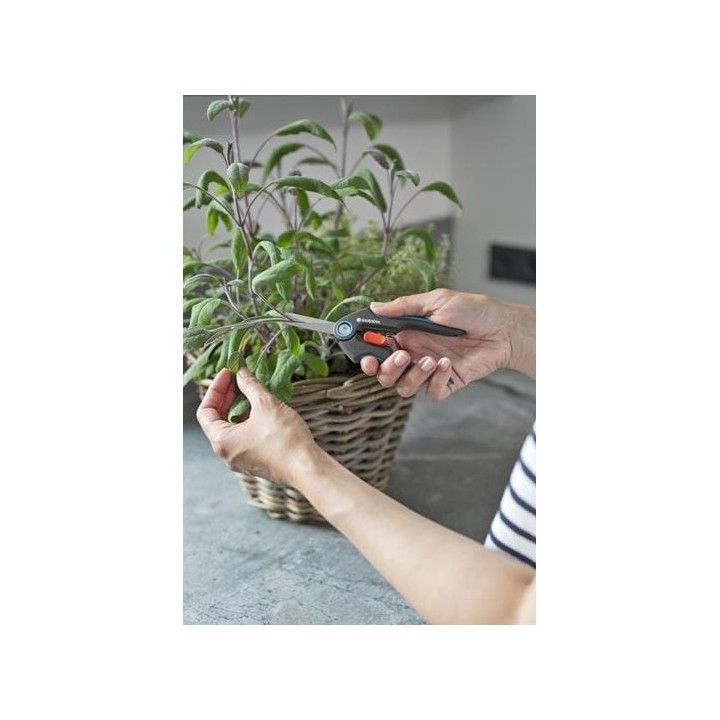 SÉCATEUR HERBES AROMATIQUES FRESHCUT GARDENA SÉCATEUR HERBES AROMATIQUES FRESHCUT GARDENA