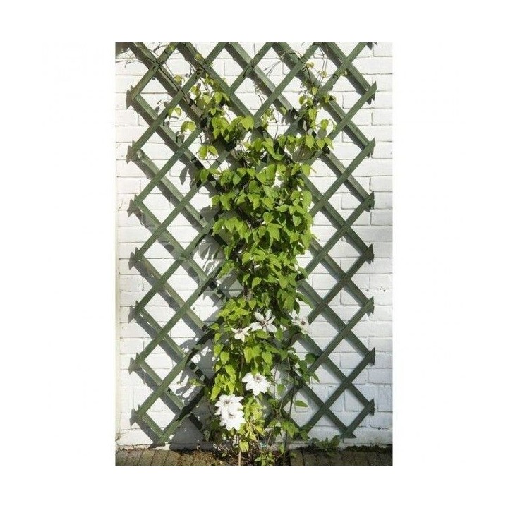 TREILLIS EN PVC EXTENSIBLE 1*2M VERT NORTENE TREILLIS EN PVC EXTENSIBLE 1*2M VERT NORTENE