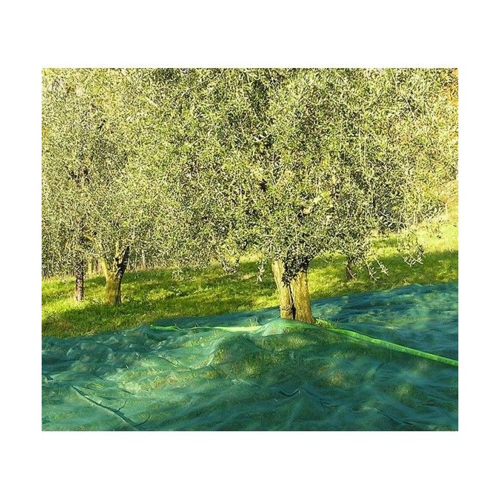 FILET DE RÉCOLTE OLIVES 5*10M