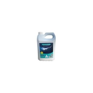 ALGICIDE NON MOUSSANT 5L ASTRALPOOL
