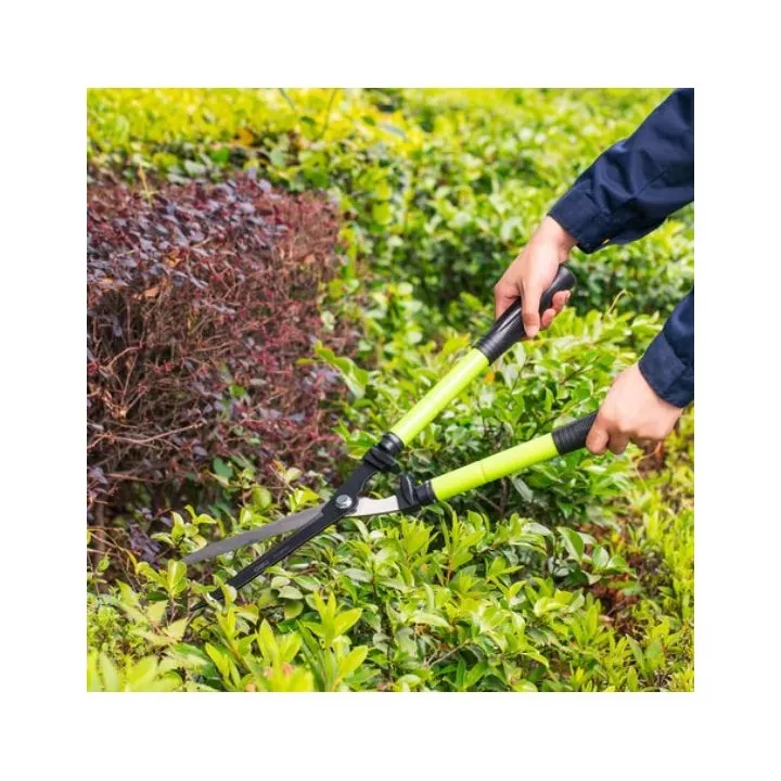 CISAILLE À HAIES TÉLESCOPIQUES (63 - 83CM) DL2805 DELI