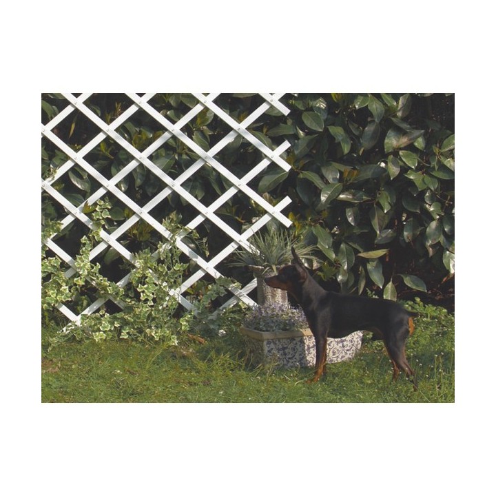 TREILLIS EN PVC EXTENSIBLE 0.5*1.5M BLANC NORTENE TREILLIS EN PVC EXTENSIBLE 0.5*1.5M BLANC NORTENE