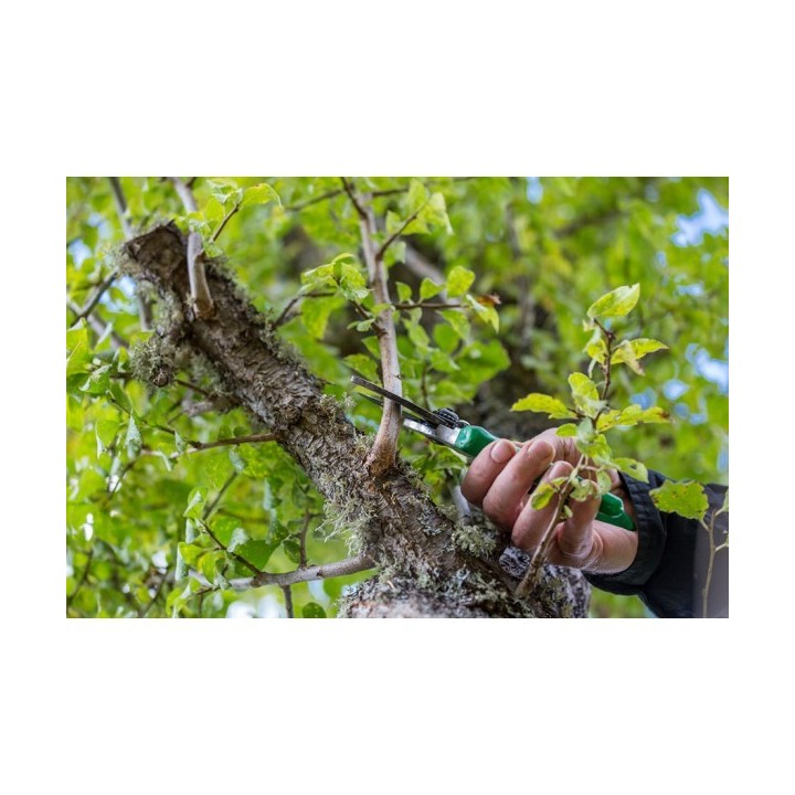 SÉCATEUR COUPE BRANCHE 23 CM AMIG