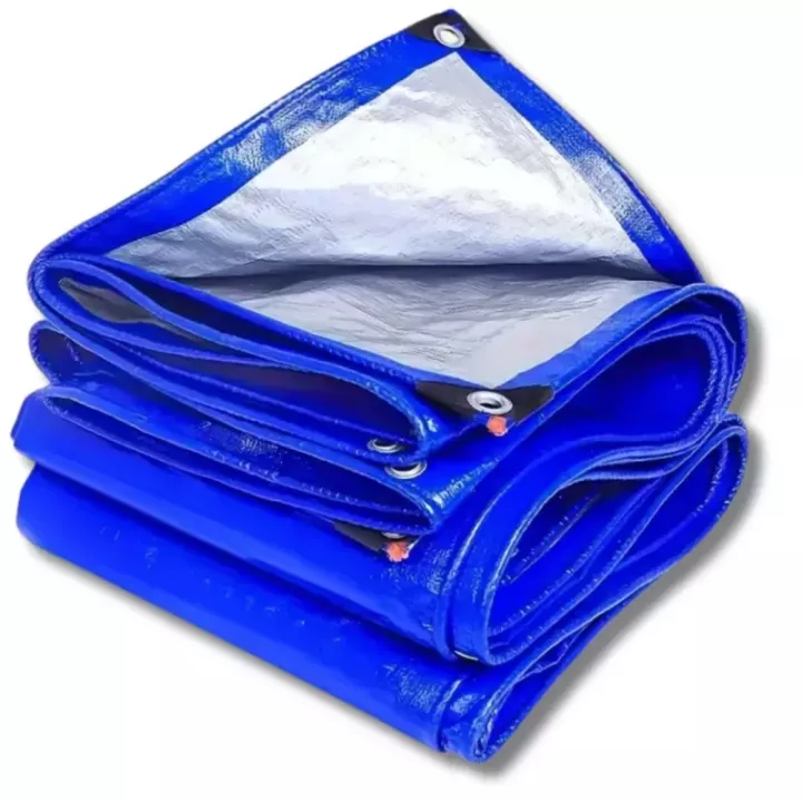 Bâche de protection polyéthylène 6x8 m WADFOW WTQ1868