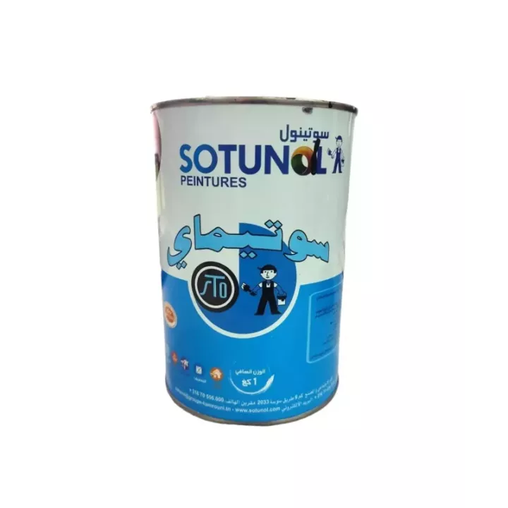 Peinture laquée blanc 1 kg SOTUMAIL - vue principale