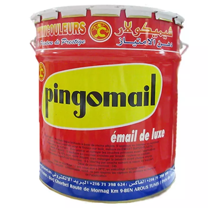 Peinture laquée blanc 4 kg PINGOMAIL