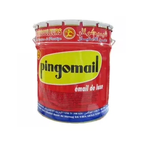 Peinture laquée blanc 18 kg PINGOMAIL