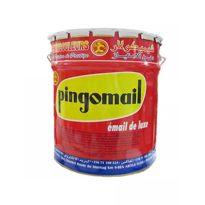 Peinture laquée blanc 18 kg PINGOMAIL