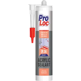 MASTIC ACRYLIQUE BLANC P.36 PROLOC MASTIC ACRYLIQUE BLANC P.36 PROLOC