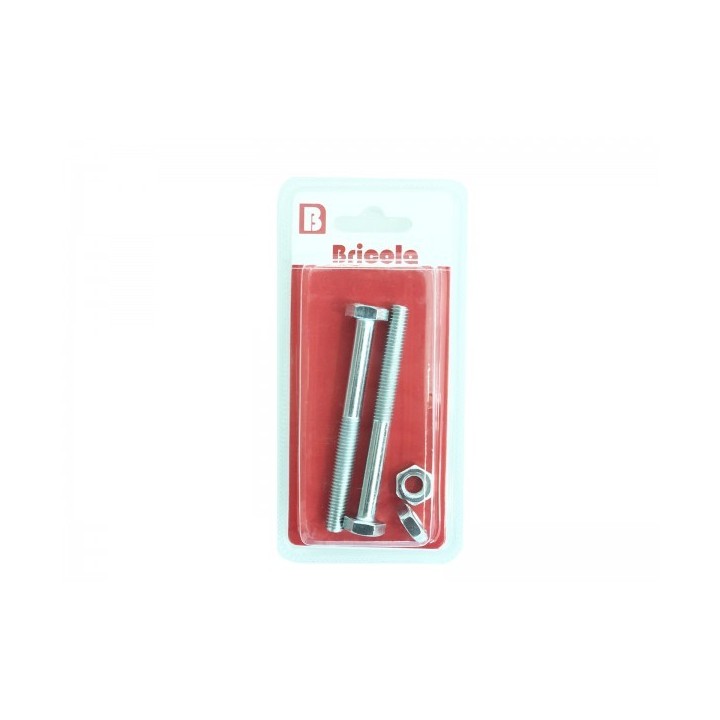 LOT DE 2 BOULON HEXAGONALE M10*100MM ACIER ZINGUE BRICOLA