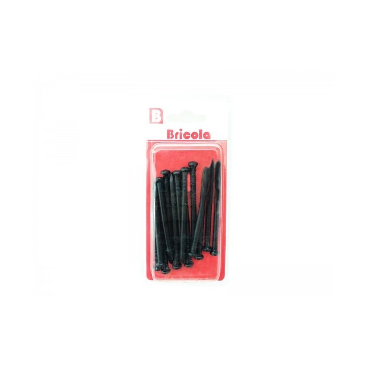 LOT DE 110G CLOUS À BÉTON 60MM NOIR BRICOLA LOT DE 110G CLOUS À BÉTON 60MM NOIR BRICOLA