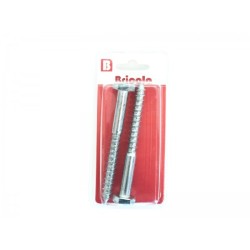 LOT DE 2 TIREFONDS TETE HEXAGONALE 10*100MM BRICOLA