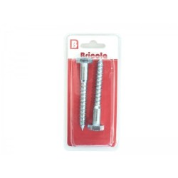 LOT DE 2 TIREFONDS TETE HEXAGONALE 10*80MM BRICOLA