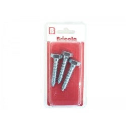 LOT DE 3 TIREFONDS TETE HEXAGONALE 10*50MM BRICOLA