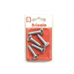 LOT DE 5 TIREFONDS TETE HEXAGONALE 8*30MM BRICOLA