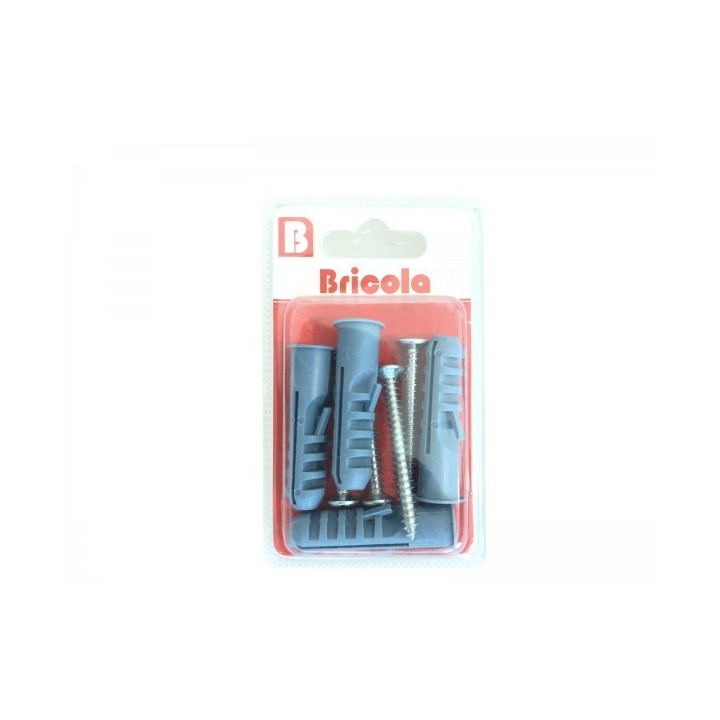LOT DE 4 VIS TÔLE TÊTE FRAISÉE BOMBÉE 5.5*50MM AVEC CHEVILLE DE 12 BRICOLA