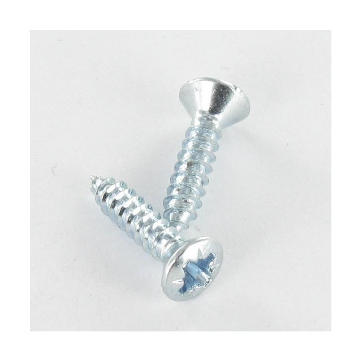 LOT DE 4 VIS TÔLE TÊTE FRAISÉE BOMBÉE 5.5*50MM AVEC CHEVILLE DE 12 BRICOLA