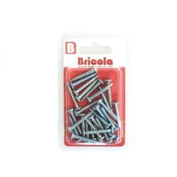 LOT DE 30 VIS À TOLE TETE CYLINDRIQUE BOMBÉE PZ 3.9*28MM BRICOLA LOT DE 30 VIS À TOLE TETE CYLINDRIQUE BOMBÉE PZ 3.9*28MM BRICOLA