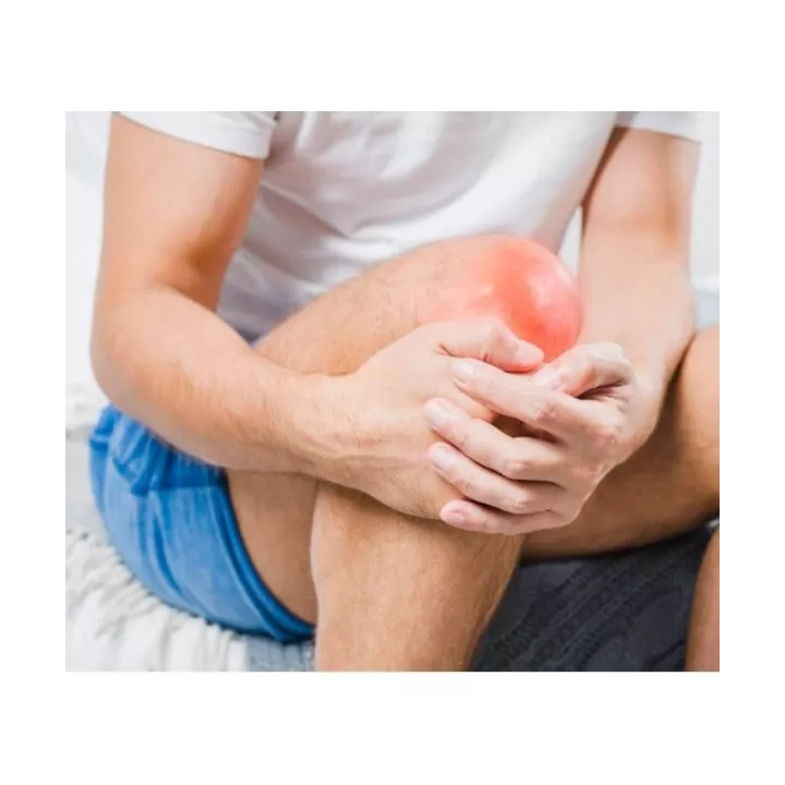 PROTÈGE GENOUX (GENOUILLÈRES)