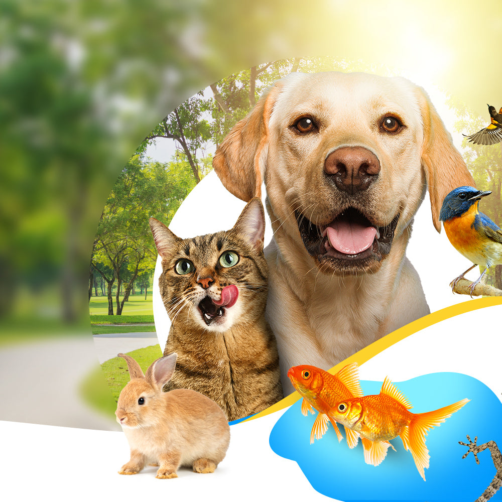 Notre sélection Animalerie