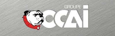 OCAI
