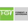 FGV