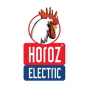 HOROZ ELECTRIC